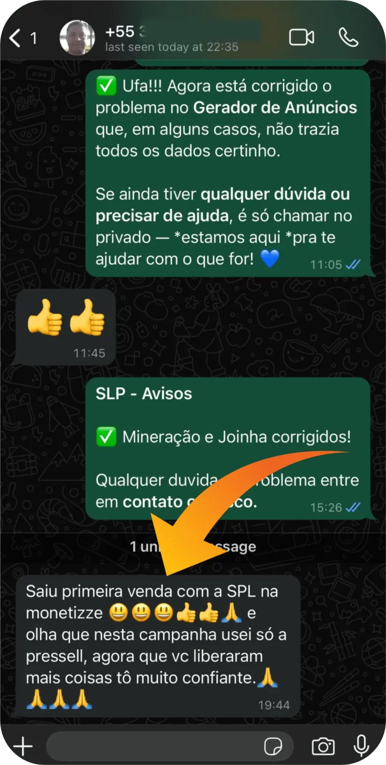Conversa WhatsApp - Depoimento 2
